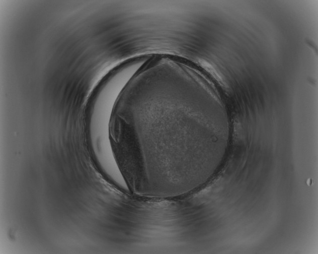X0000091360926200708241307