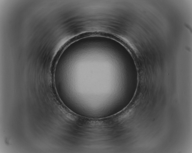 X0000091360927200708241307