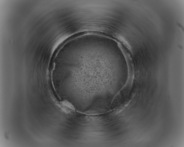 X0000091360928200708241307