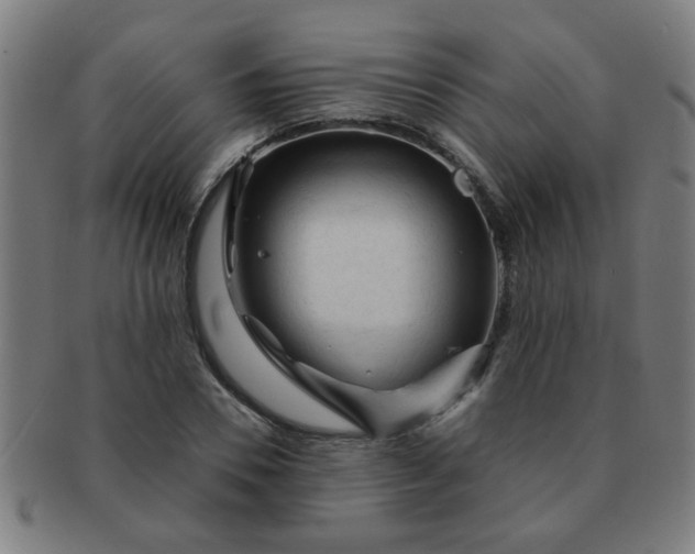 X0000091360930200708241307