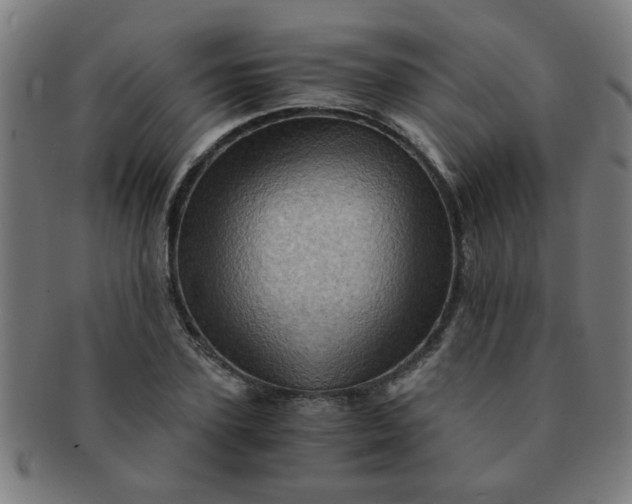 X0000091360931200708241307