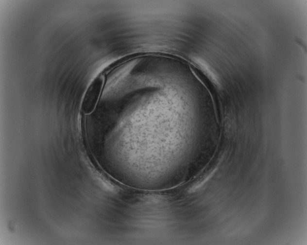 X0000091360932200708241307