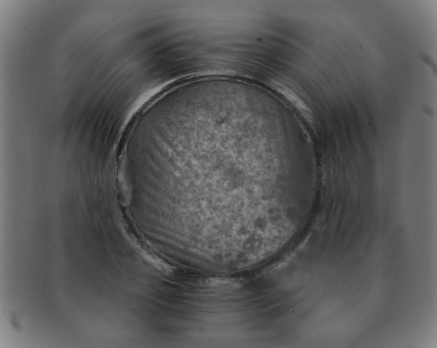 X0000091360933200708241307
