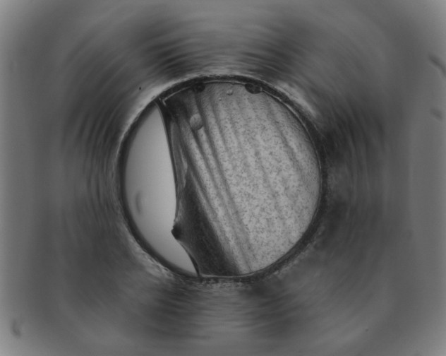 X0000091360934200708241307