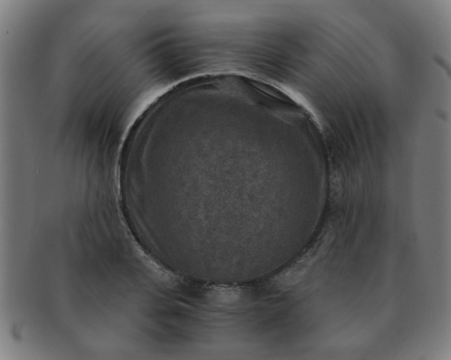 X0000091360935200708241307