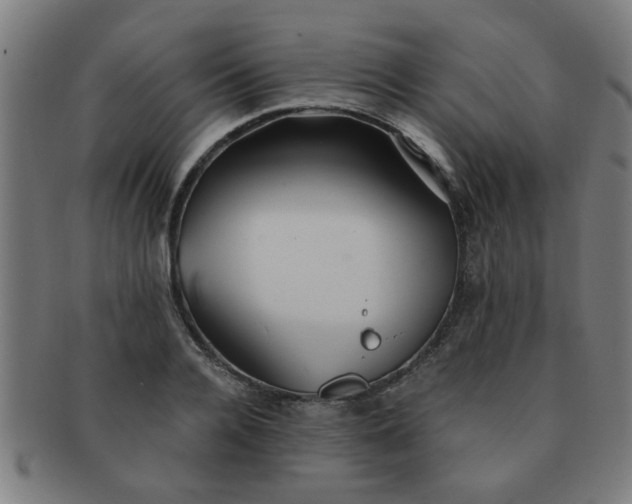 X0000091360936200708241307