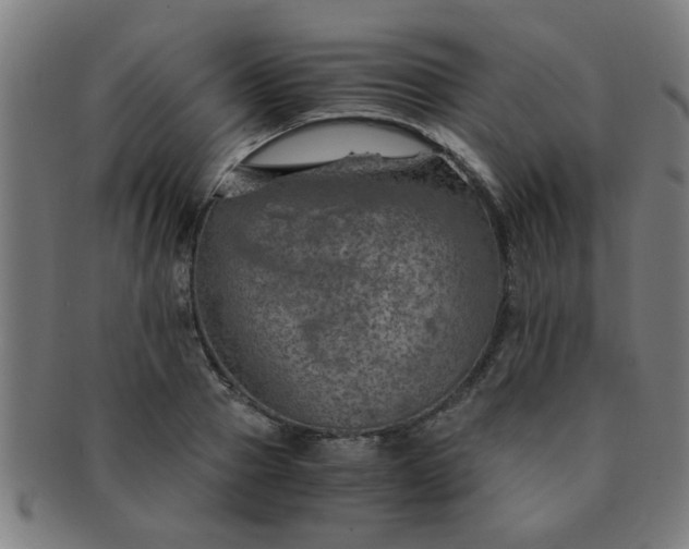X0000091360937200708241307