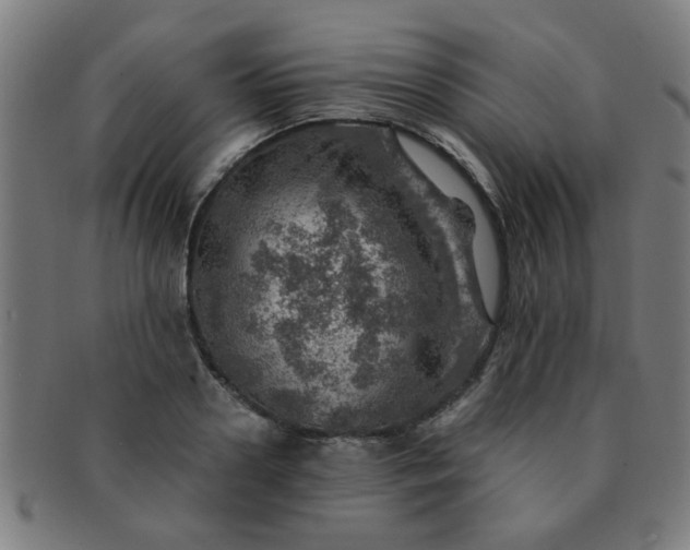 X0000091360938200708241307