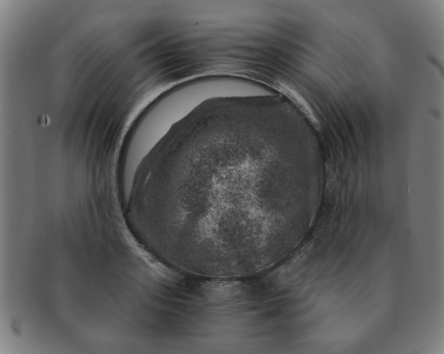 X0000091360939200708241307