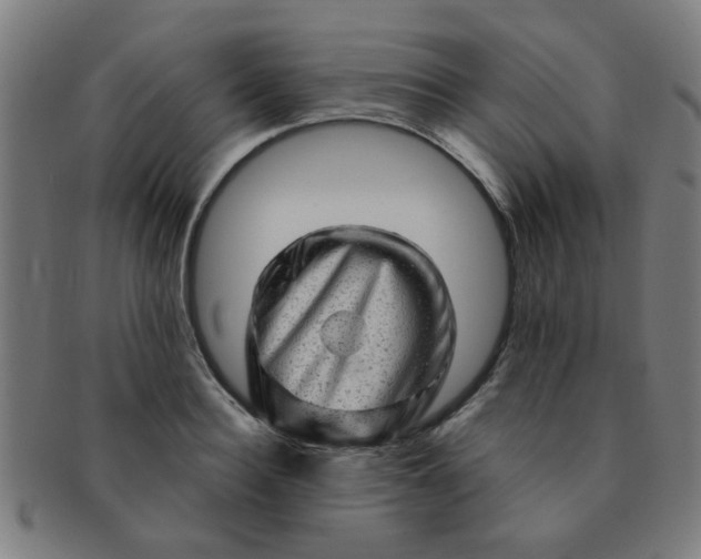 X0000091360940200708241307