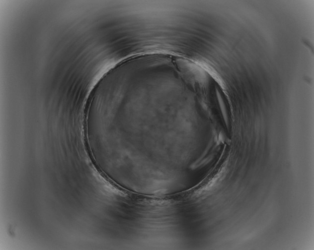 X0000091360941200708241307