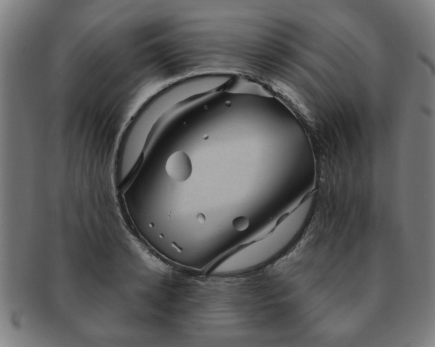 X0000091360942200708241307