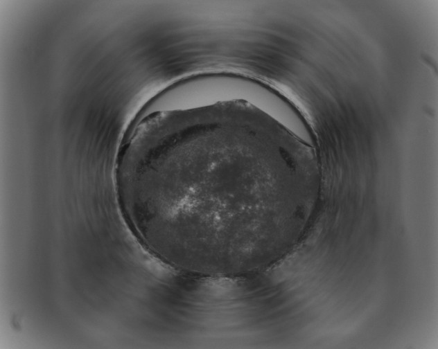 X0000091360943200708241307