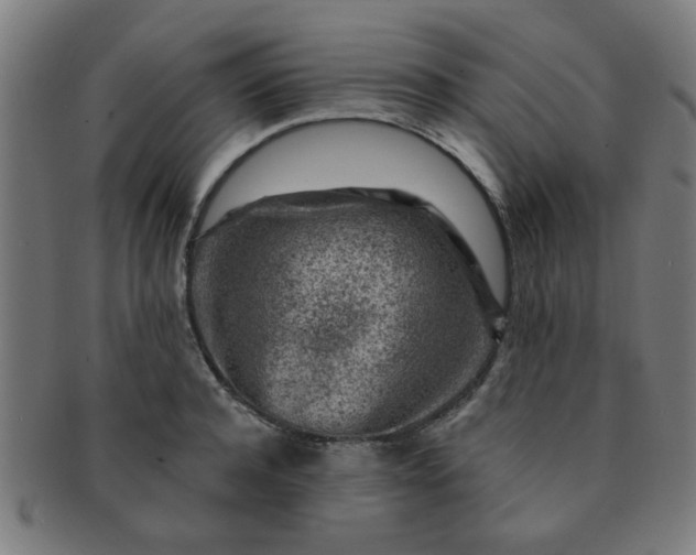 X0000091360944200708241307