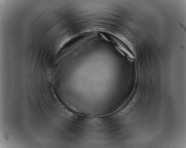 X0000091360945200708241307