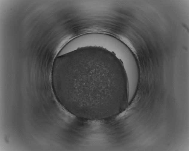 X0000091360946200708241307