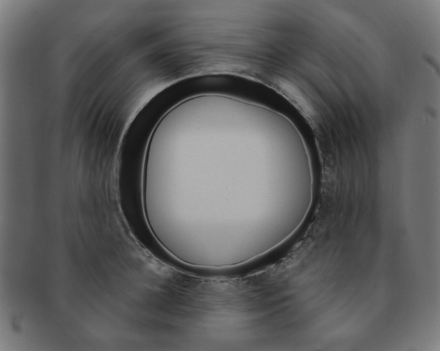 X0000091360948200708241307