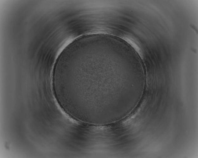 X0000091360949200708241307