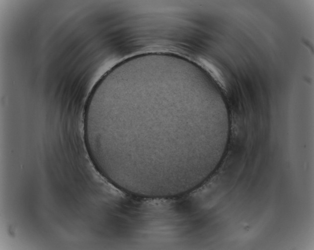 X0000091360950200708241307