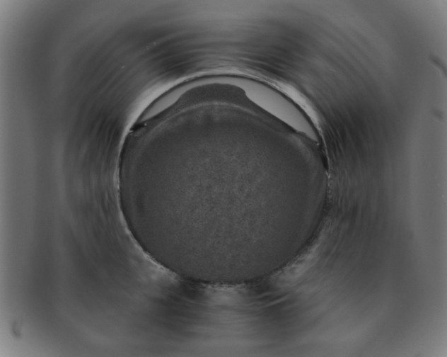 X0000091360951200708241307