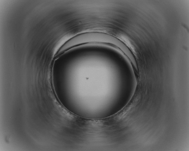 X0000091360952200708241307