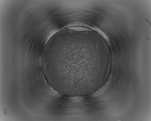 X0000091360953200708241307