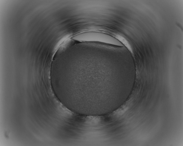 X0000091360954200708241307