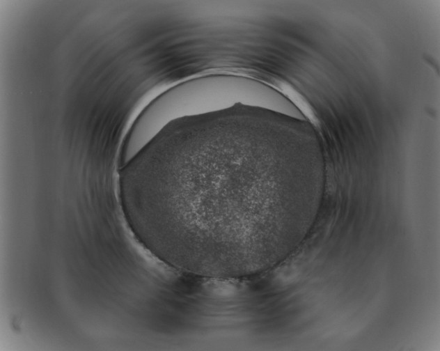 X0000091360955200708241307