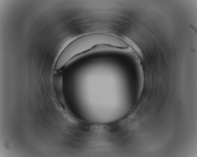 X0000091360956200708241307