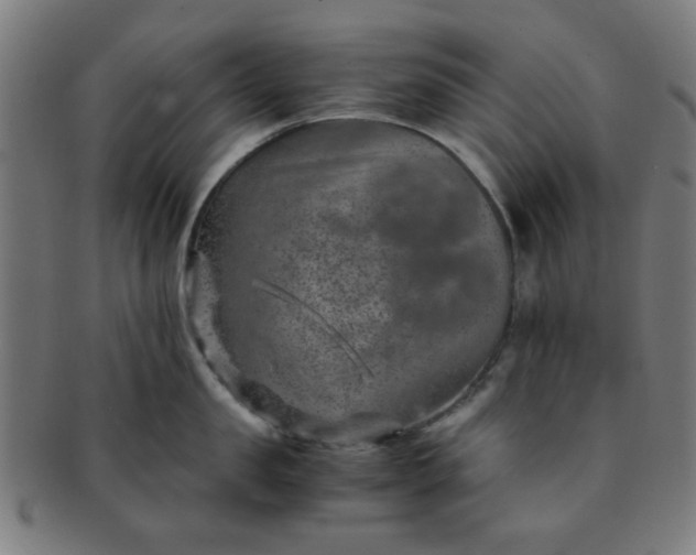 X0000091360957200708241307
