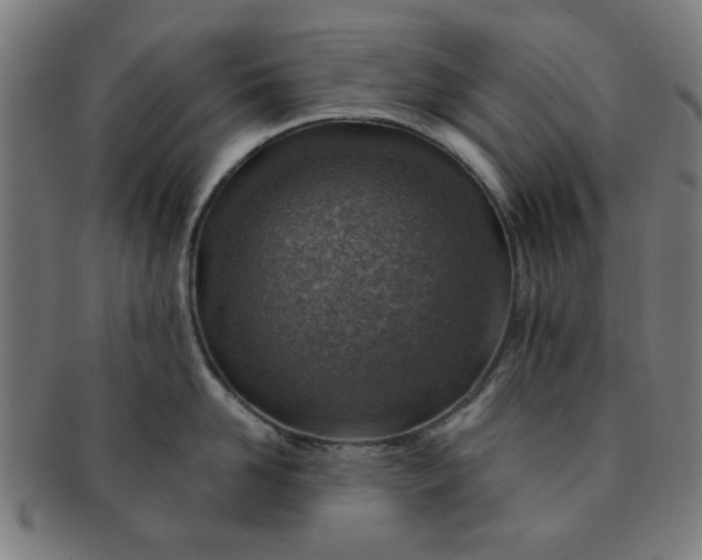 X0000091360958200708241307