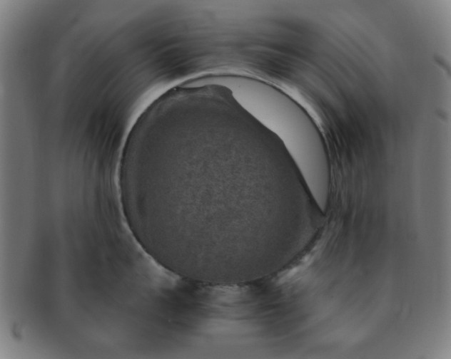 X0000091360959200708241307