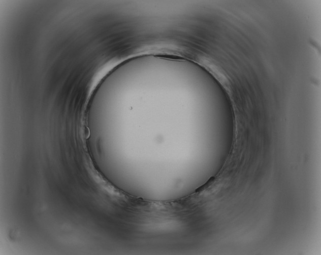 X0000091360960200708241307