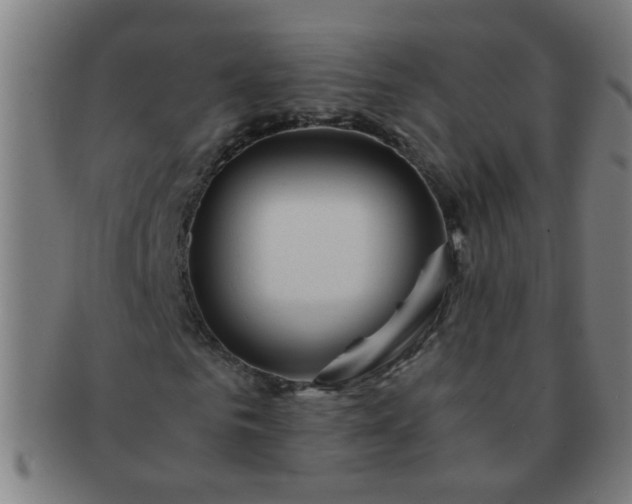 X0000091360961200708241307