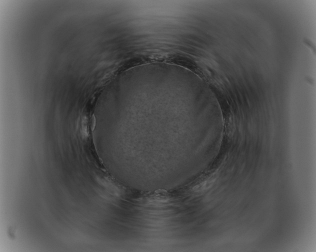 X0000091360962200708241307