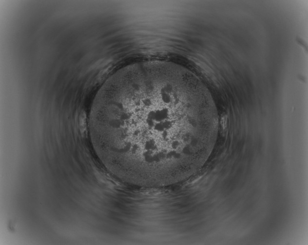 X0000091360963200708241307