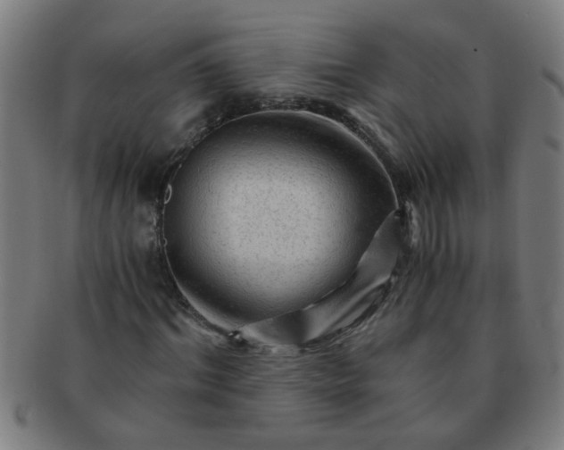 X0000091360964200708241307