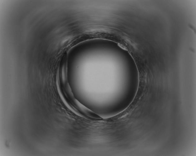X0000091360965200708241307