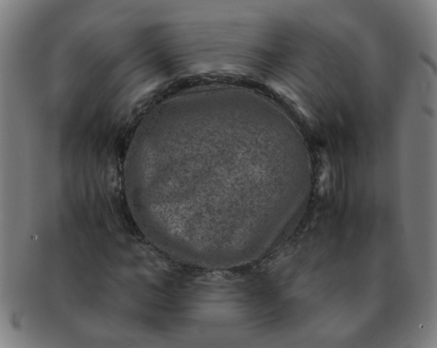 X0000091360966200708241307