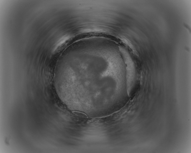 X0000091360967200708241307