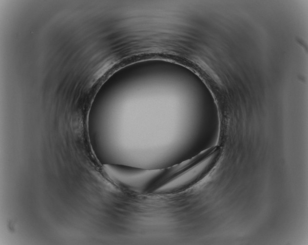 X0000091360969200708241307