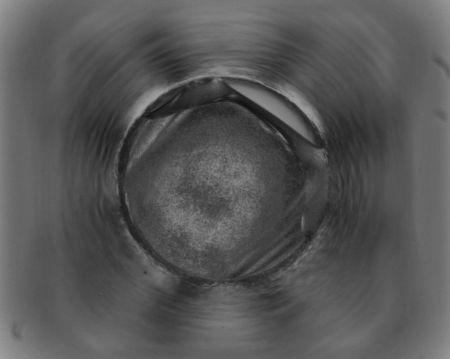 X0000091360972200708241307