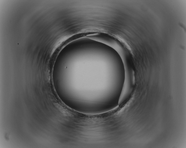 X0000091360973200708241307