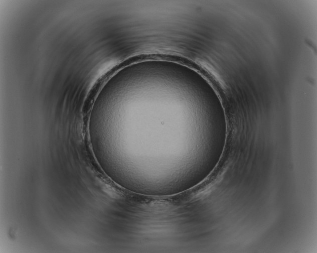 X0000091360974200708241307