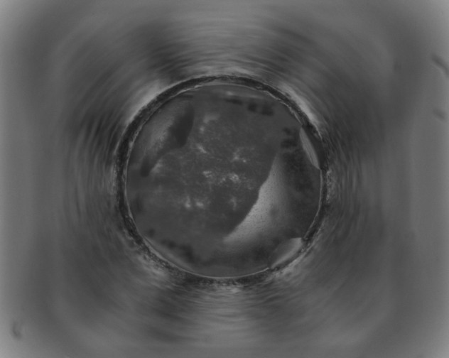 X0000091360975200708241307
