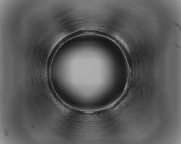 X0000091360976200708241306