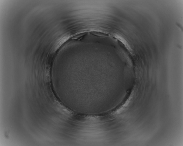 X0000091360977200708241306