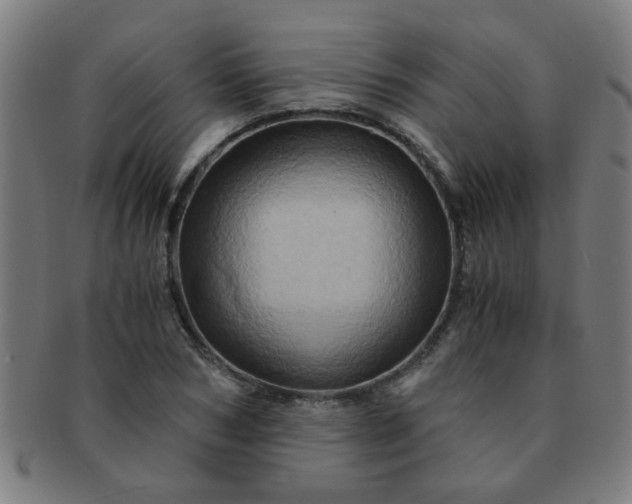 X0000091360978200708241306