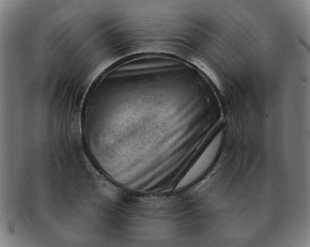 X0000091360980200708241306