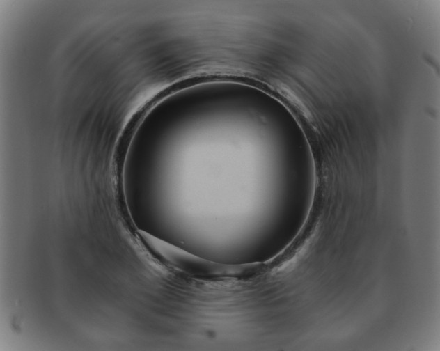 X0000091360981200708241306